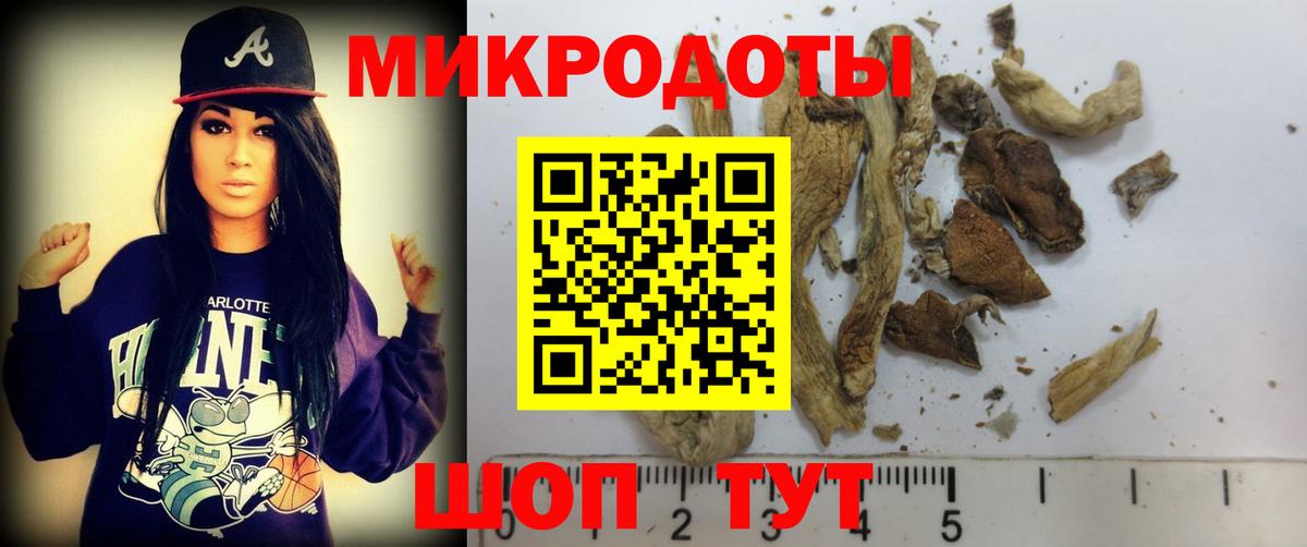Псилоцибиновые грибы Psilocybe Кулебаки